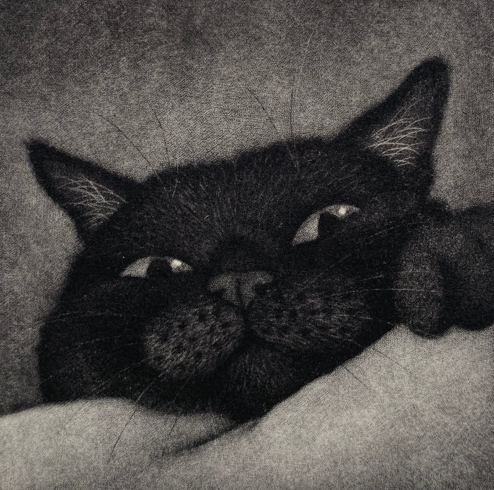 'Lock eyes' - Signed and numbered by the artist: 36/50 - NO RESERVE PRICE ! - Emi Satō 佐藤恵美 (b 1973) - Japan #1.0