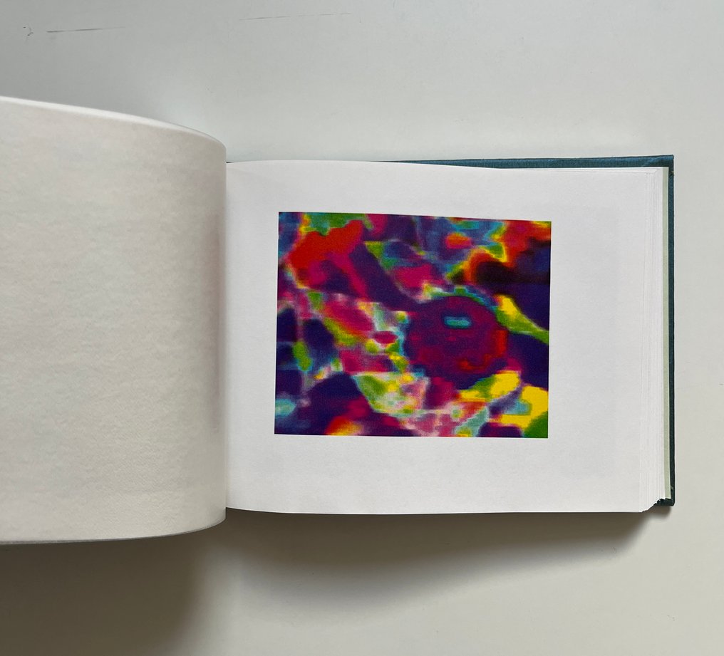 Strba Annelies - Frances and the elves - 2006 #2.1