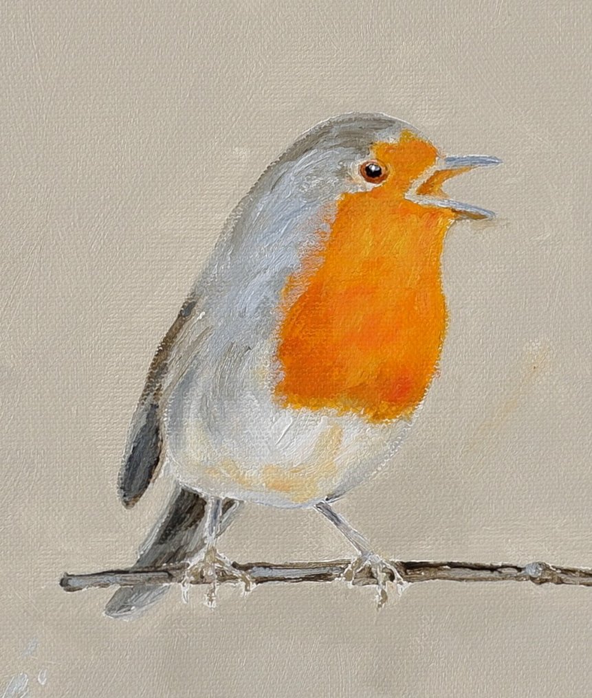 Matthieu van Riel - Roodborstje #4.3