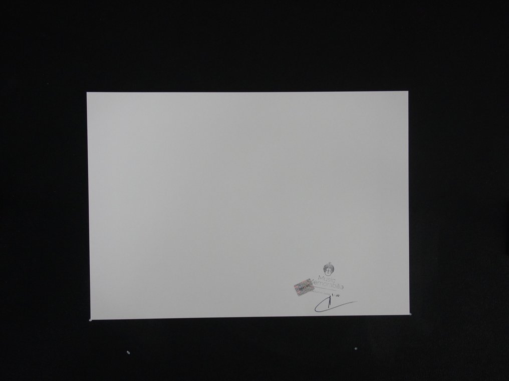 Billy GIBBONS and Dusty HILL and ZZ TOP - Fine Art Photography - XL 42x30 cm - Limited Edition 01/20 - Gallery Stamp & Curator Signature - Collector - No Reserve #2.1