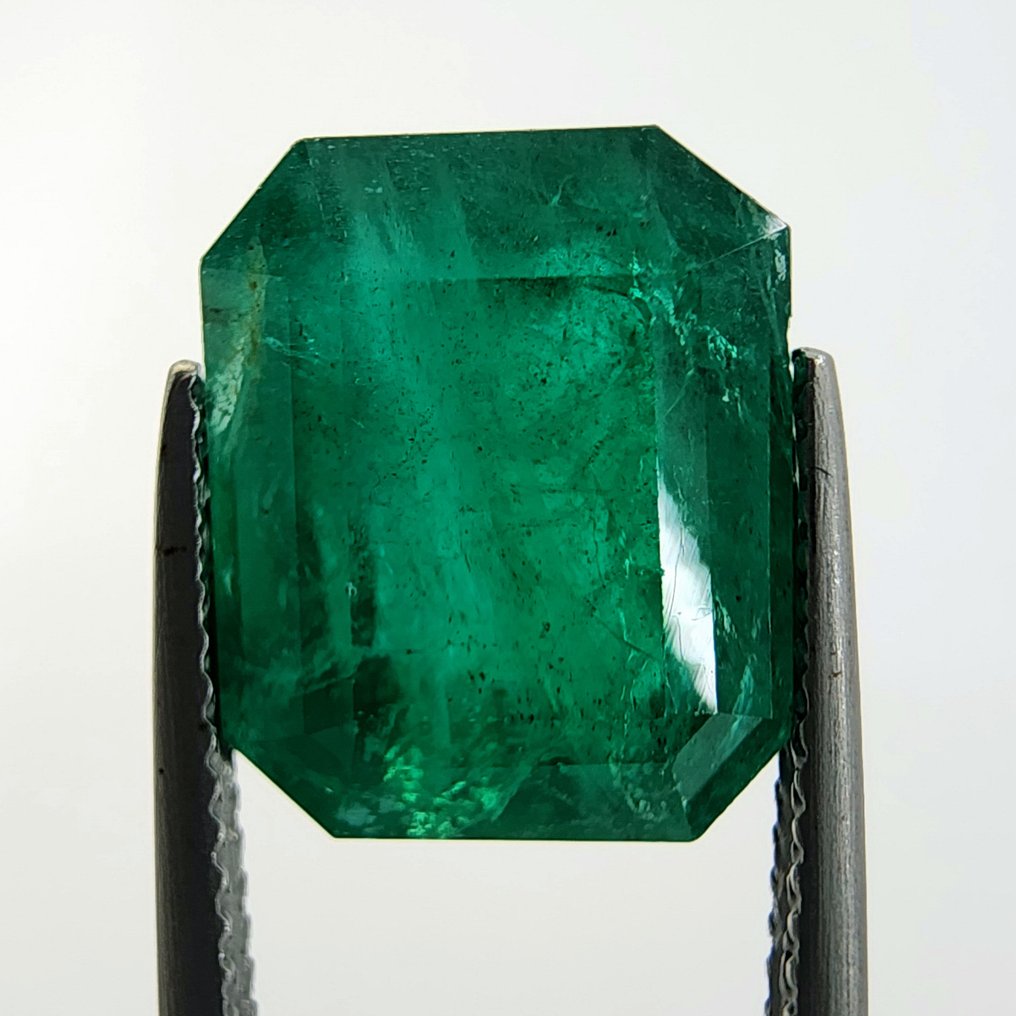 1 pcs  Grün Smaragd  - 8.03 ct - International Gemological Institute (IGI) - *Minor Oil* #2.1