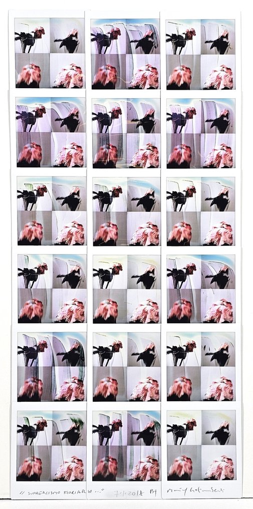 Maurizio Galimberti (1956–) - SurrealismoFioriario... #1.0