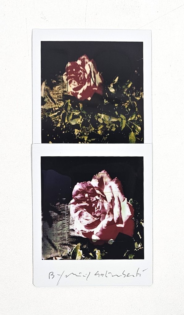 Maurizio Galimberti (1956–) - BiFlowers - 10968 #1.0