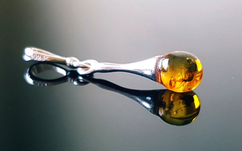 Pandantiv rar din chihlimbăr baltic natural, cu inclusiune de insecte fosile - Frumos, de calitate - Chihlimbar #3.2