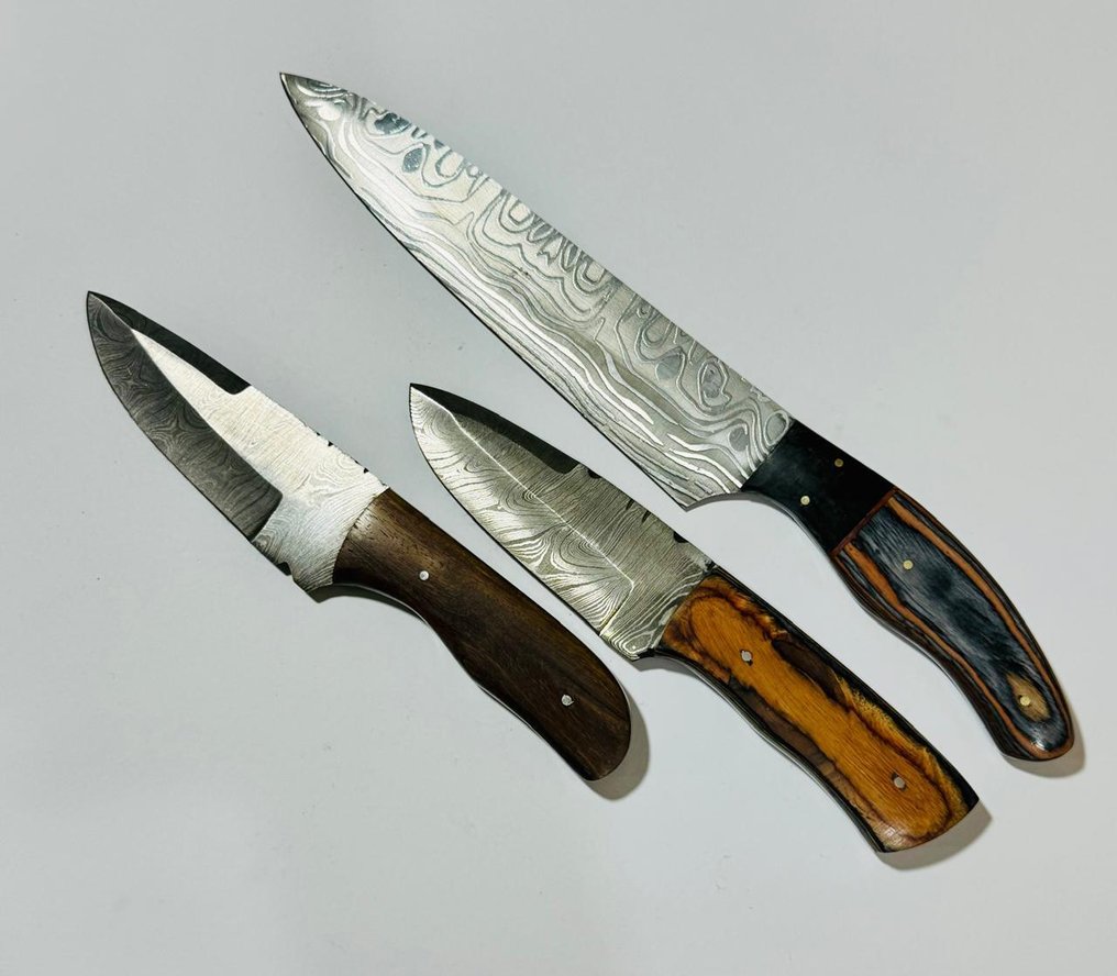 Køkkenkniv -  Køkkenbordkniv (0095) - Eksotisk træhåndtag og foldet stål - Storbritannien - Køkkentafelkniv #1.0