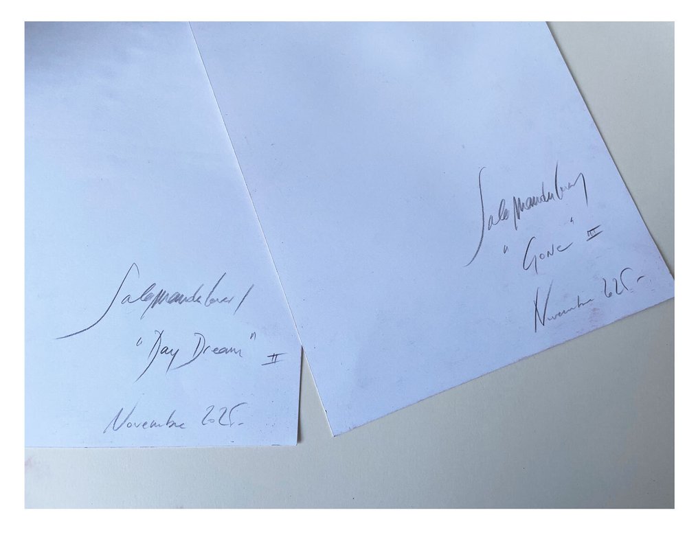 Salamanderlovers - 3 Original drawing - Salamanderlovers serie - "Day Dream" - "Gone II" - "Langage" - 2025 #2.1