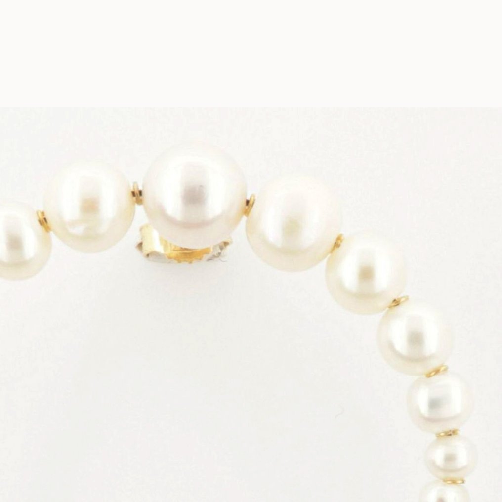 Drop fülbevaló - 18 kt. Sárga arany, Fehér arany - 0.05ct. tw. Gyémánt (Természetes) - Gyöngy #1.0