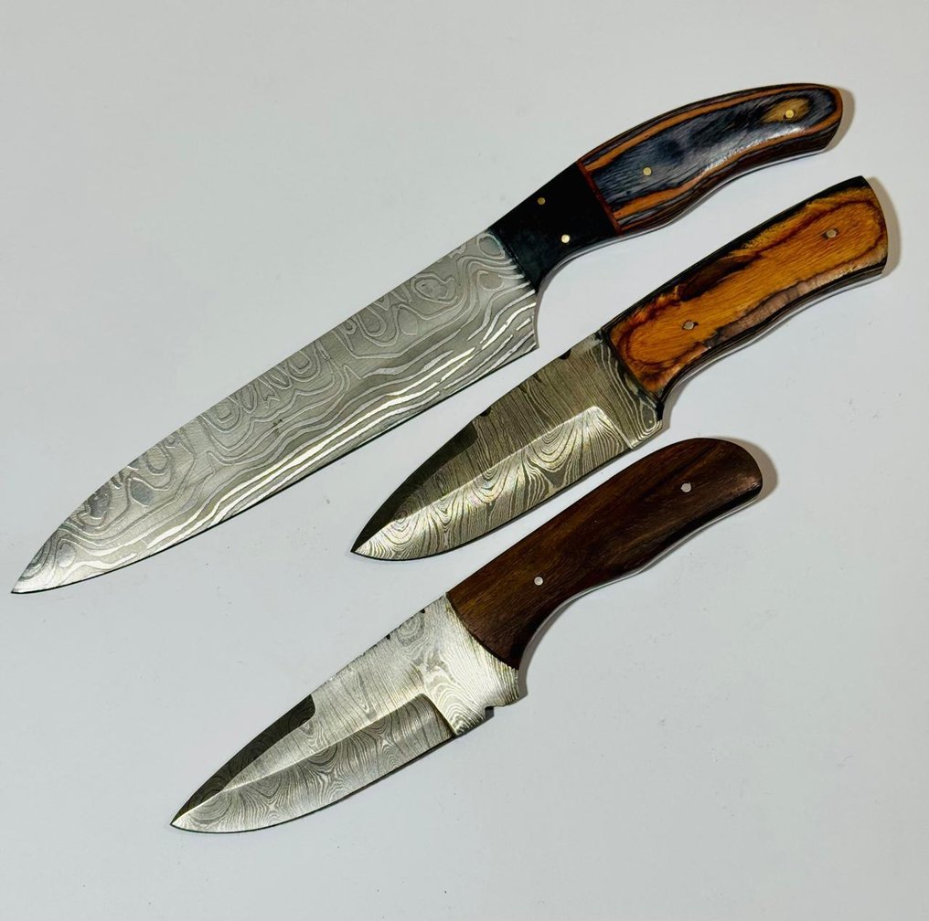 Køkkenkniv -  Køkkenbordkniv (0095) - Eksotisk træhåndtag og foldet stål - Storbritannien - Køkkentafelkniv #2.1