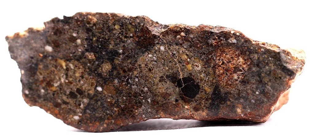 NWA 15788 HED achondrită breccie polymictă de meteorite Achondrite Meteorit - 28 g - (1) #3.2