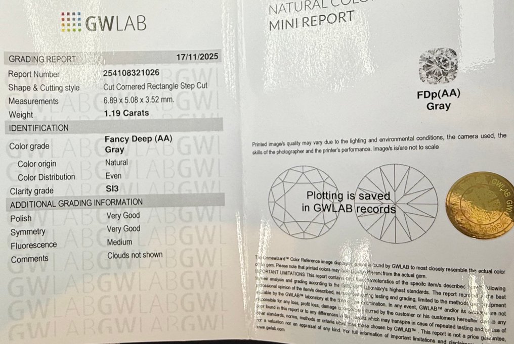 Sem preço de reserva - 1 pcs Diamante (Colorido natural) - 1.19 ct - Retângulo - Fancy deep Cinzento - SI3 - Gemewizard Gemological Laboratory (GWLab) #2.1