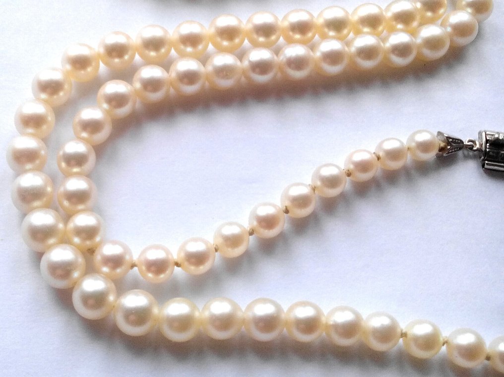 Zonder minimumprijs - Halsketting 14 kt witgoud - Akoya-parels tot 8 mm - 50 cm lang #4.3