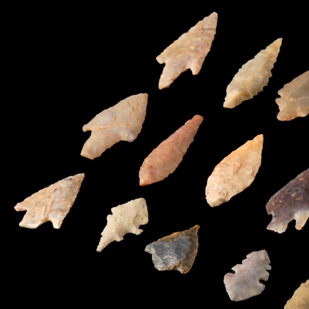 Neolithic Flint, Stone, Agate Collection of 15 Neolithic arrowheads  (No reserve price) #4.3