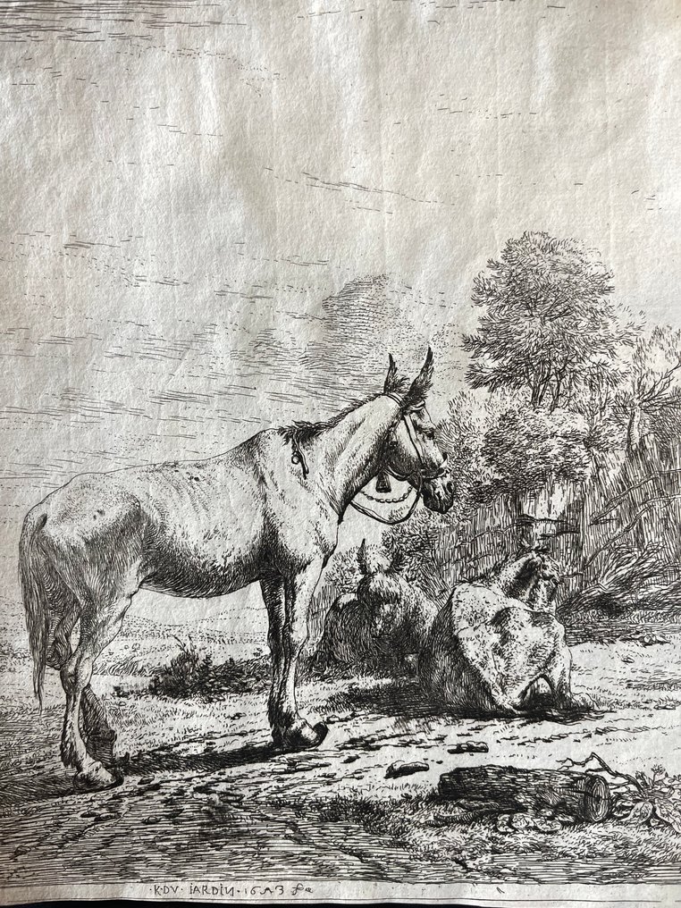 Karel Dujardin (1622-1678) - Mulo con campanaccio #1.0