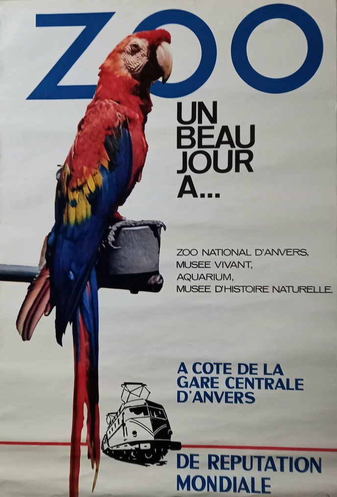 Papegaai/Ara - ZOO UN BEAU JOUR A... - Lata 70. #1.0