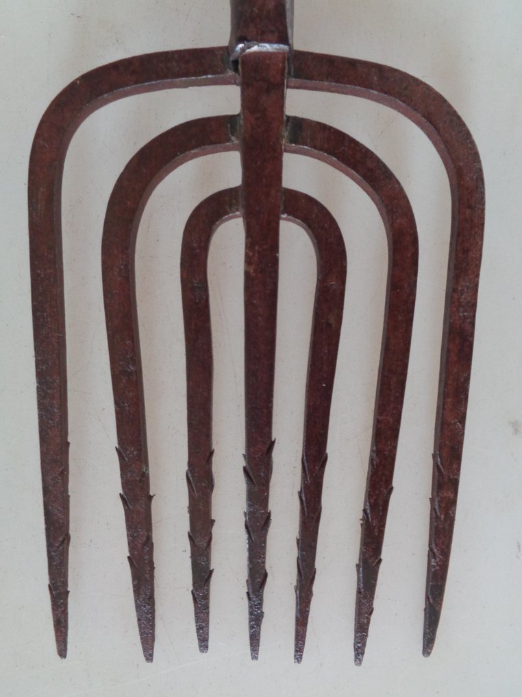 Smeedijzeren palingsteker (1880-1900)) - Working tool Antique #4.3