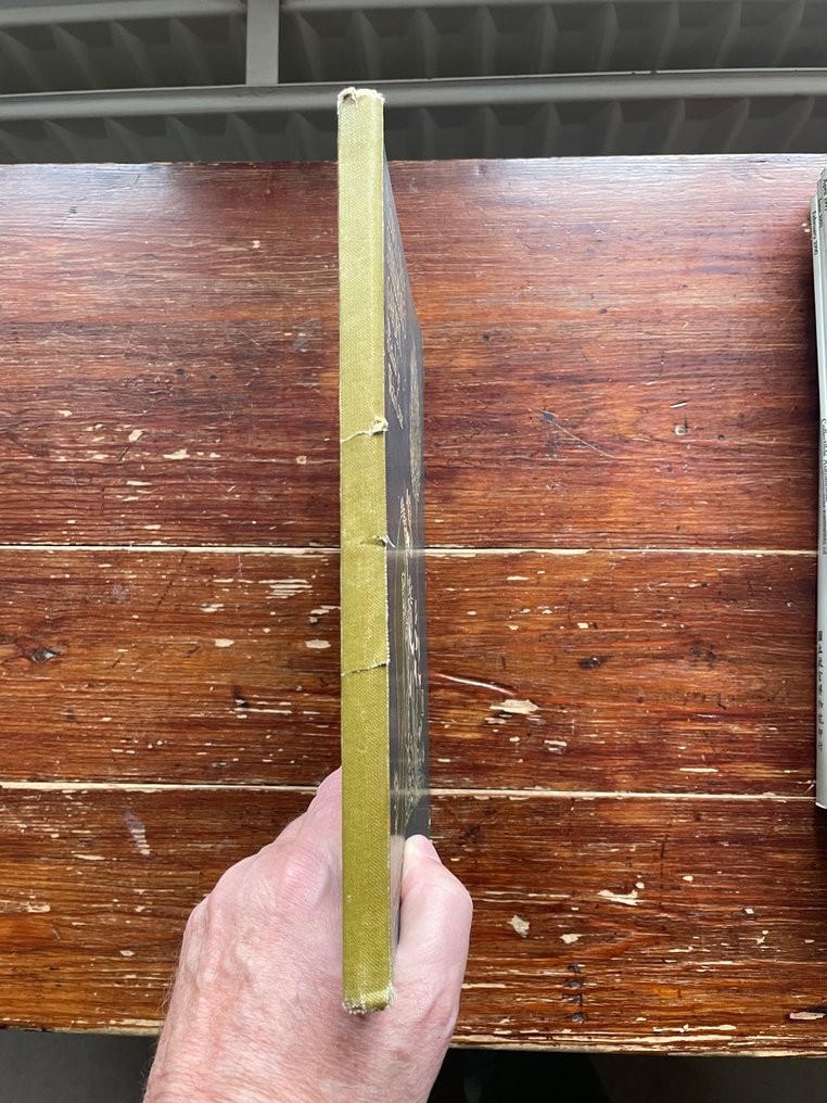 Walter Crane - Flowers from Shakespeare's Garden - 1906 #2.1