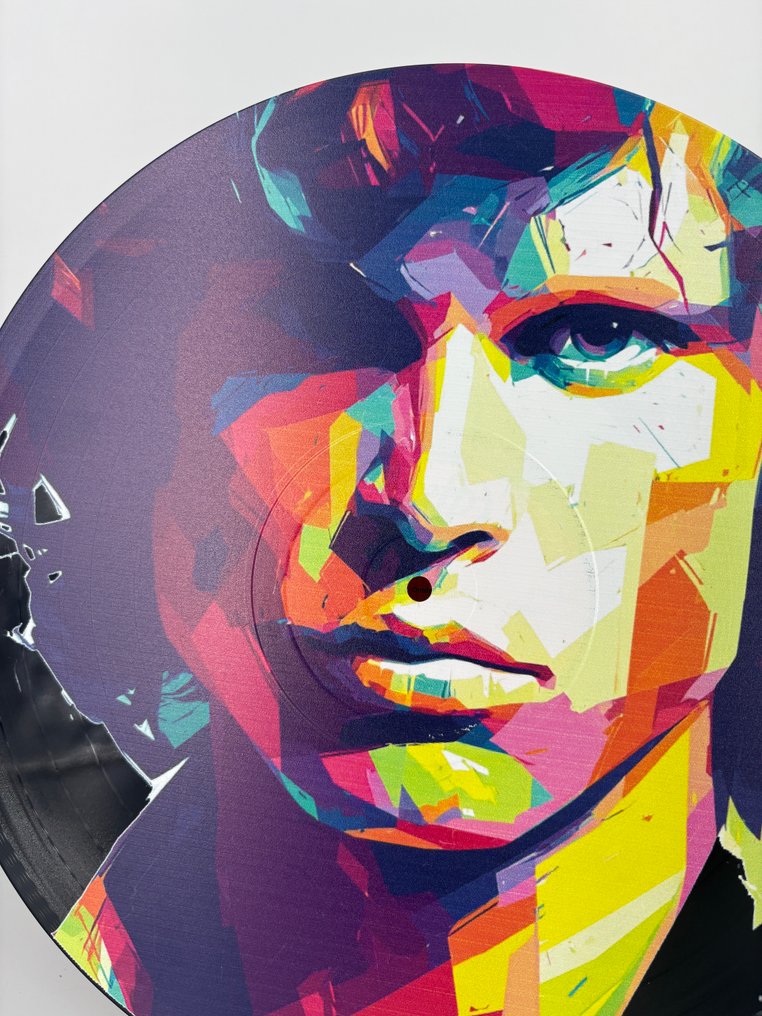 DR HIDE - Vinyl Record Riders on the Storm #3.2