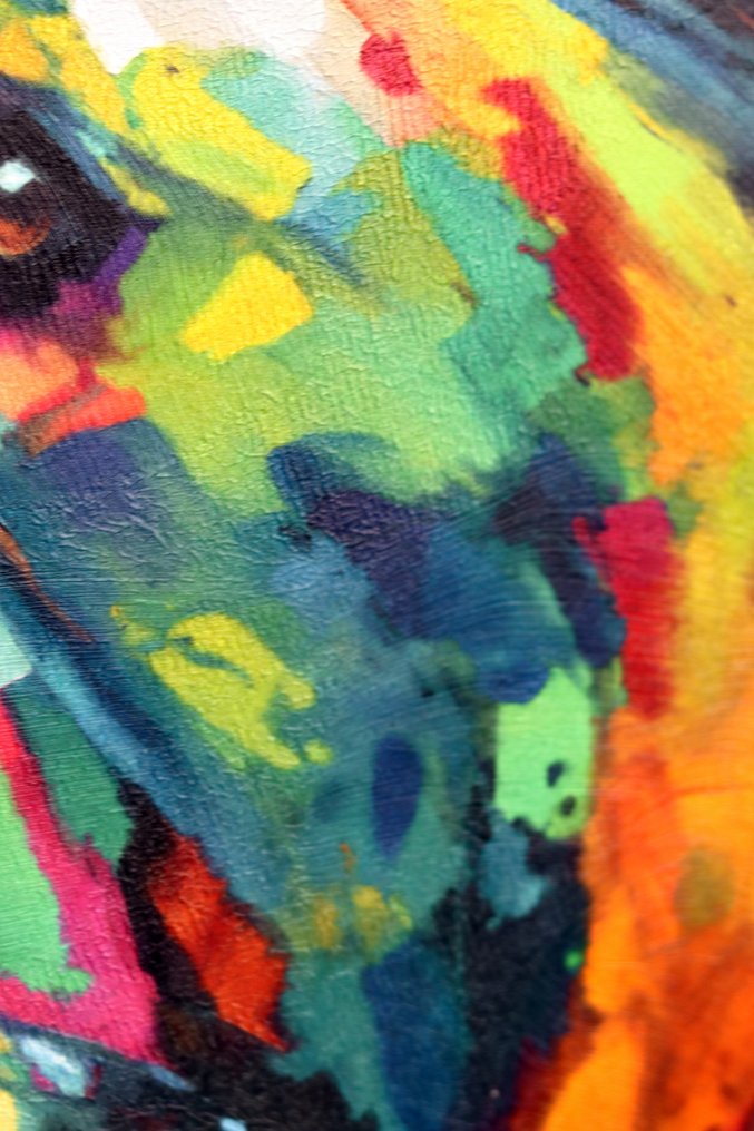 Michael Mey - Vivid Bear #4.3