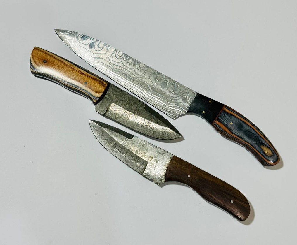 Køkkenkniv -  Køkkenbordkniv (0095) - Eksotisk træhåndtag og foldet stål - Storbritannien - Køkkentafelkniv #4.3