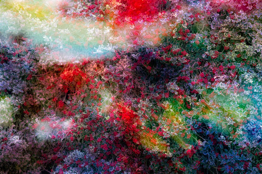 Viet Ha Tran - The power of dreams #1.0