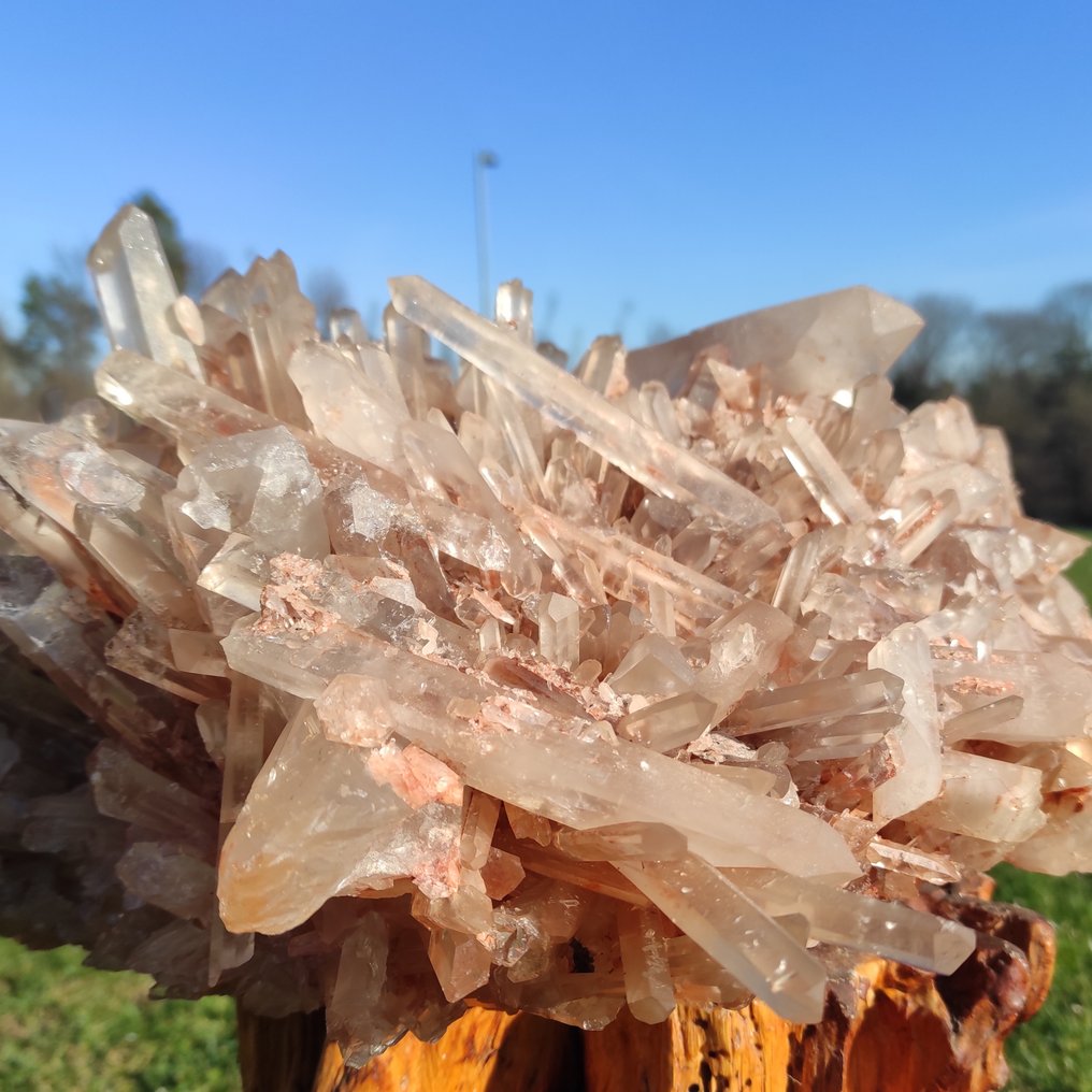 Honey-colored quartz Crystals on matrix - Height: 24 cm - Width: 45 cm- 24700 g - (1) #4.3