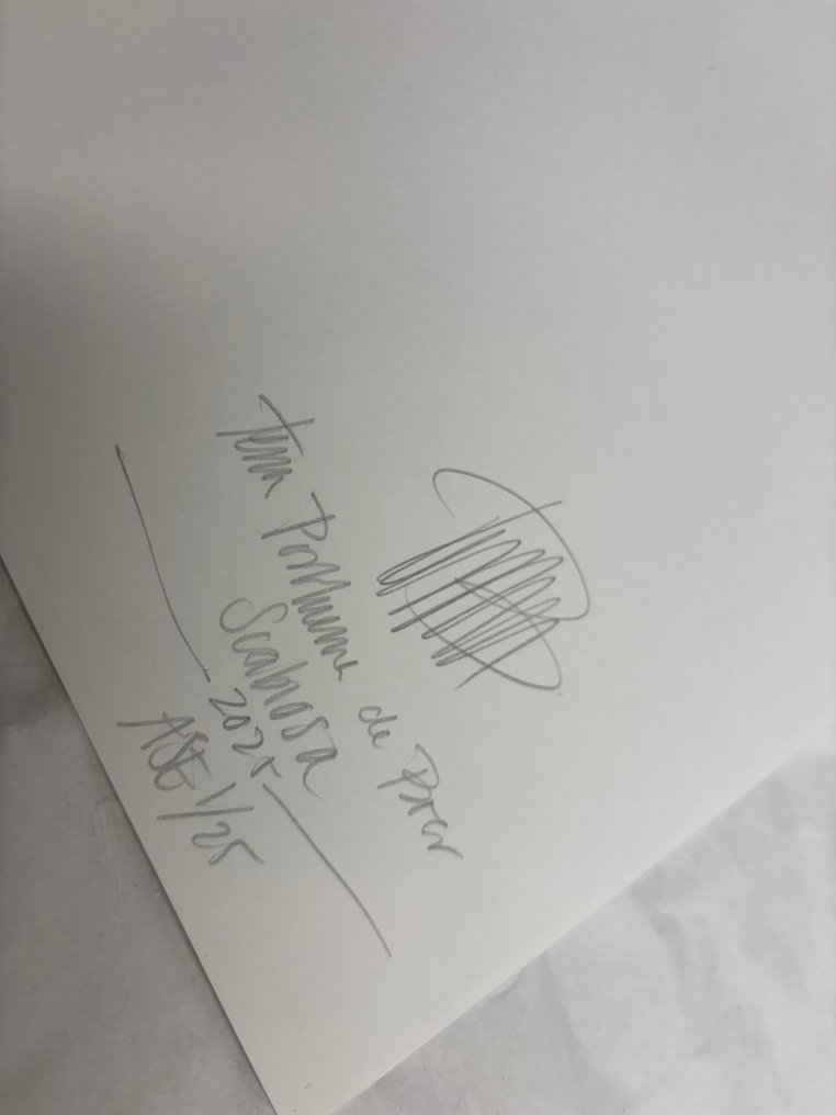 Tessa Posthuma de Boer - Scabiosa #4.3