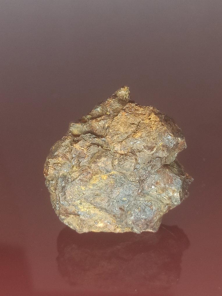 PALASITA SERICHO. Volledig exemplaar. Zonder reserveprijs!!! - 63.31 g #3.2