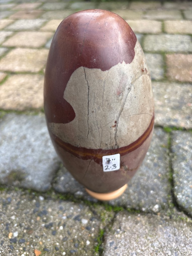 Shiva Lingham Polished - Height: 18 cm - Width: 9 cm- 2310 g - (1) #2.1