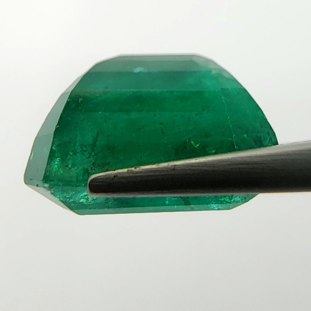 1 pcs  Grün Smaragd  - 8.03 ct - International Gemological Institute (IGI) - *Minor Oil* #3.2