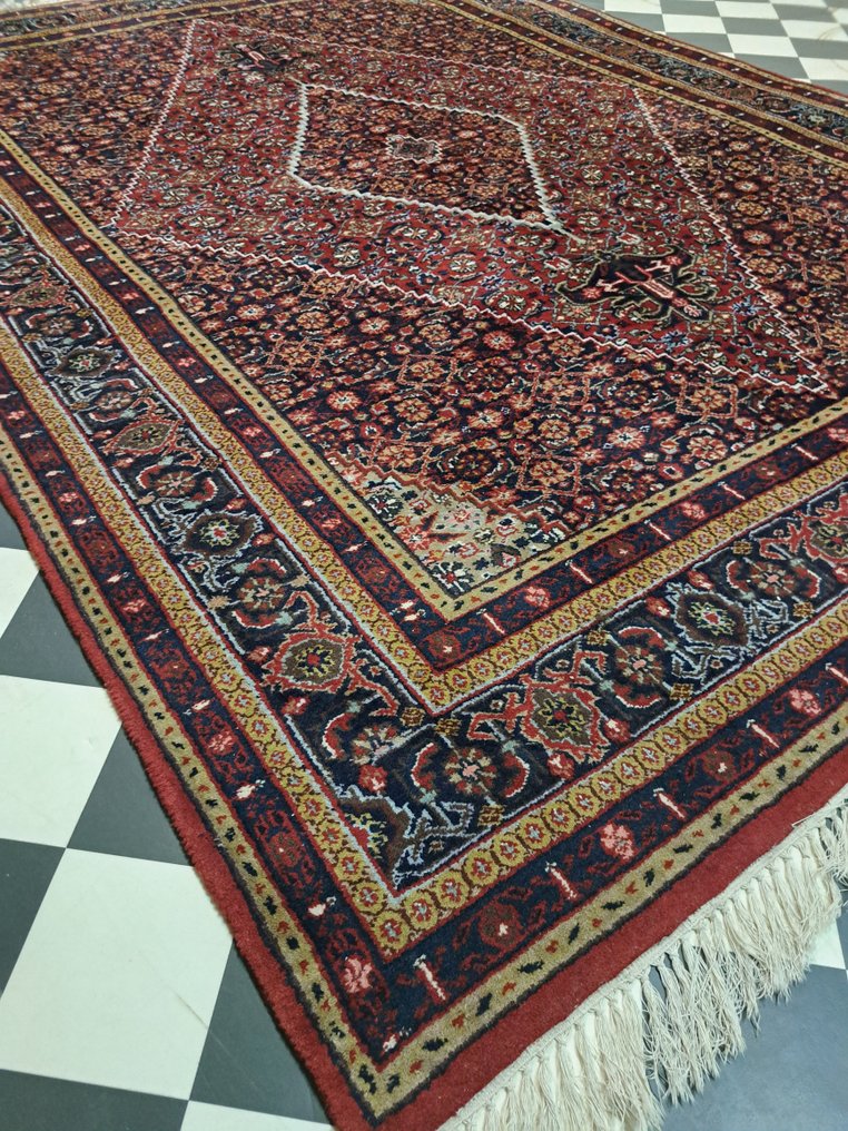 Bidjar - Tæppe - 240 cm - 173 cm #1.0