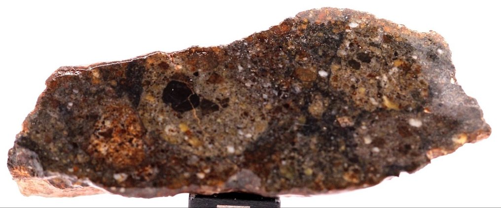 NWA 15788 HED achondrită breccie polymictă de meteorite Achondrite Meteorit - 28 g - (1) #2.1