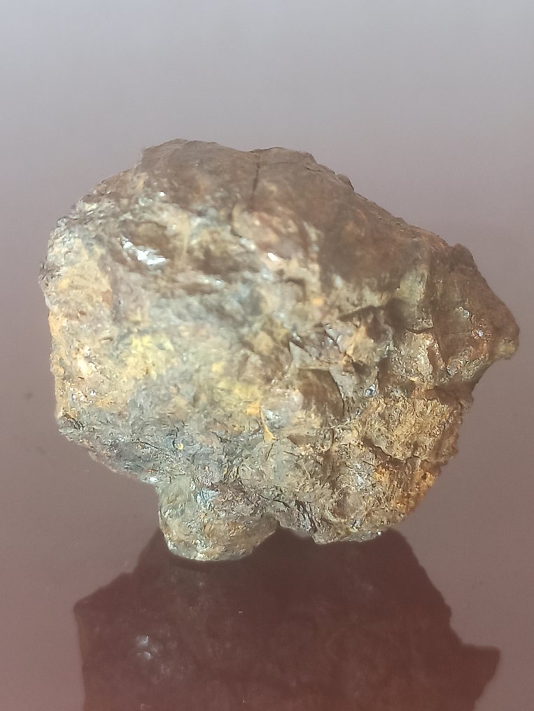 PALASITA SERICHO. Volledig exemplaar. Zonder reserveprijs!!! - 63.31 g #1.0