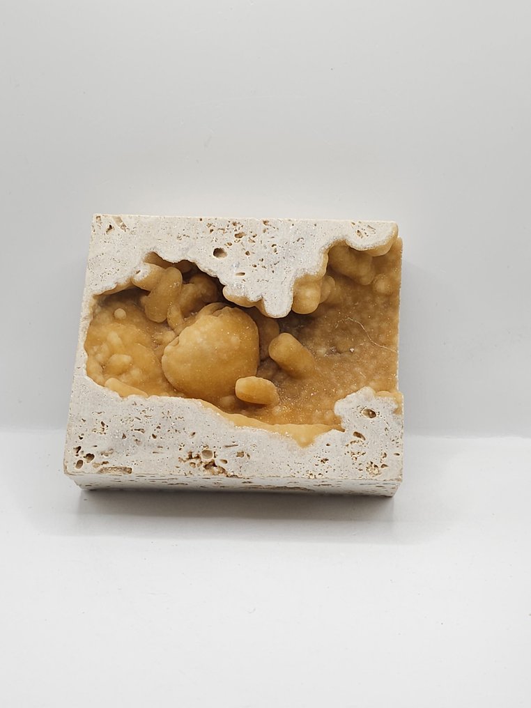 Crab - Fossil skeleton - 85 mm - 103 mm (No reserve price) #2.1