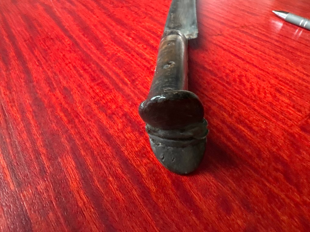 Kort svärd - Algeriet #2.1