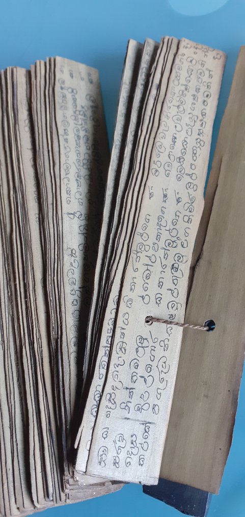 feuilles de Latanier - Lontar sur Palmier XIXème Inde du Sud en Sanscrit - 1850 #3.2