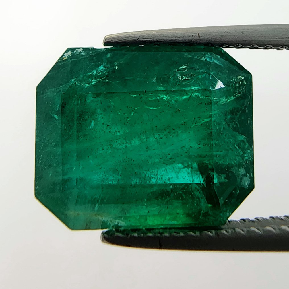1 pcs  Grün Smaragd  - 8.03 ct - International Gemological Institute (IGI) - *Minor Oil* #1.0
