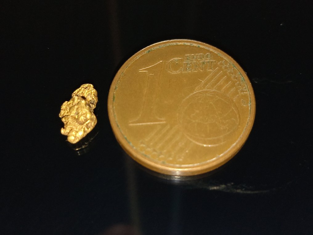 极其珍贵的金块 - 伊瓦洛乔基湖 拉普兰 贵金属块- 0.34 g - (1) #4.3