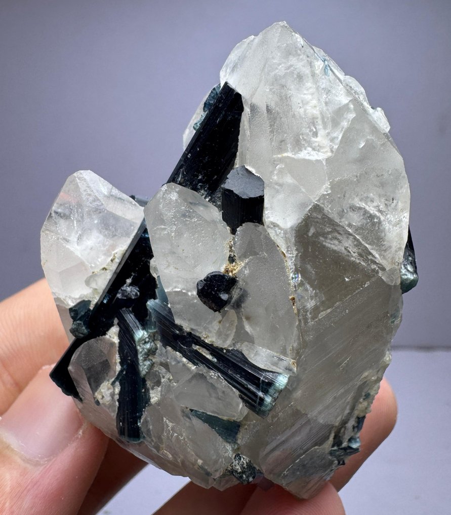 Εξαιρετικό, σκούρο μπλε Indicolite Tourmaline. Κρύσταλλοι στη μήτρα - Ύψος: 71 mm - Πλάτος: 41 mm- 143 g - (1) #3.2