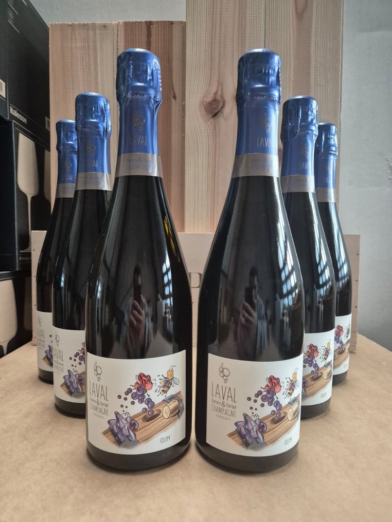 2021 Laval, Aurore & Florian Laval, Olim - Champagne Extra Brut, Rosé - 6 Pullo (0.75L) #1.0