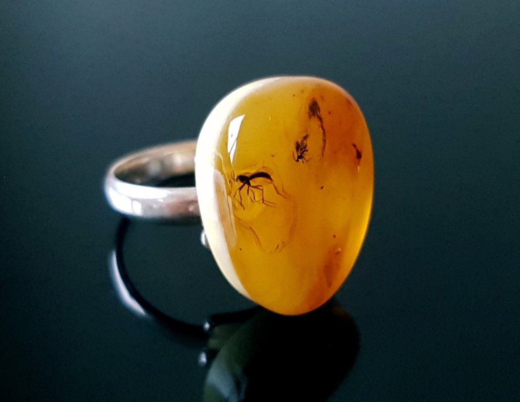 Sällsynt naturlig Baltic amber-ring med fossilinsekt-inclusion - 2 stycken insekter - vacker museum - Bärnsten (Utan reservationspris) #2.1