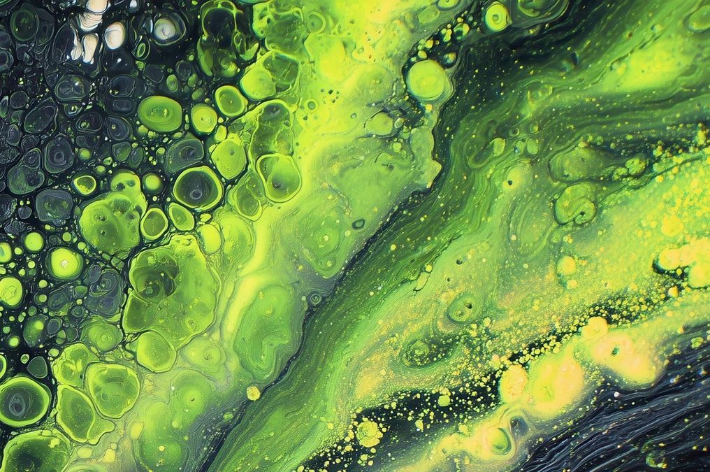 Lea Ottavi - Neon Cells Whispering XXL #3.2