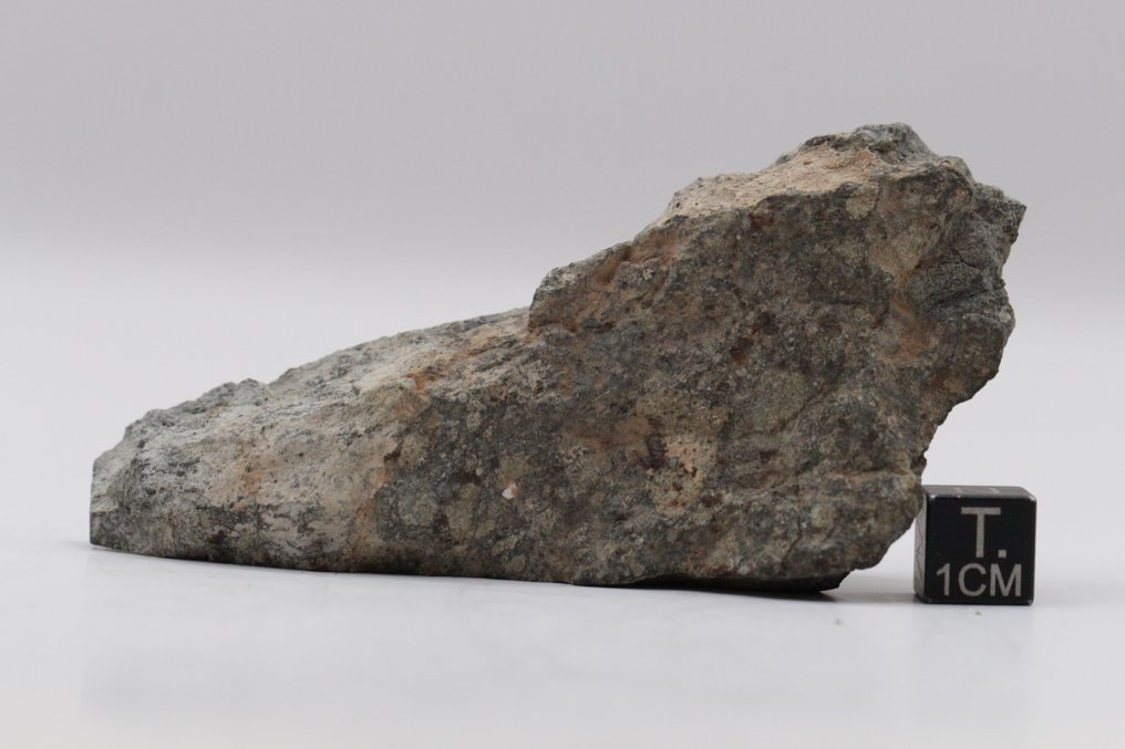 NWA 14456 H6 球粒陨石 球粒隕石 - 98.4 g - (1) #2.1