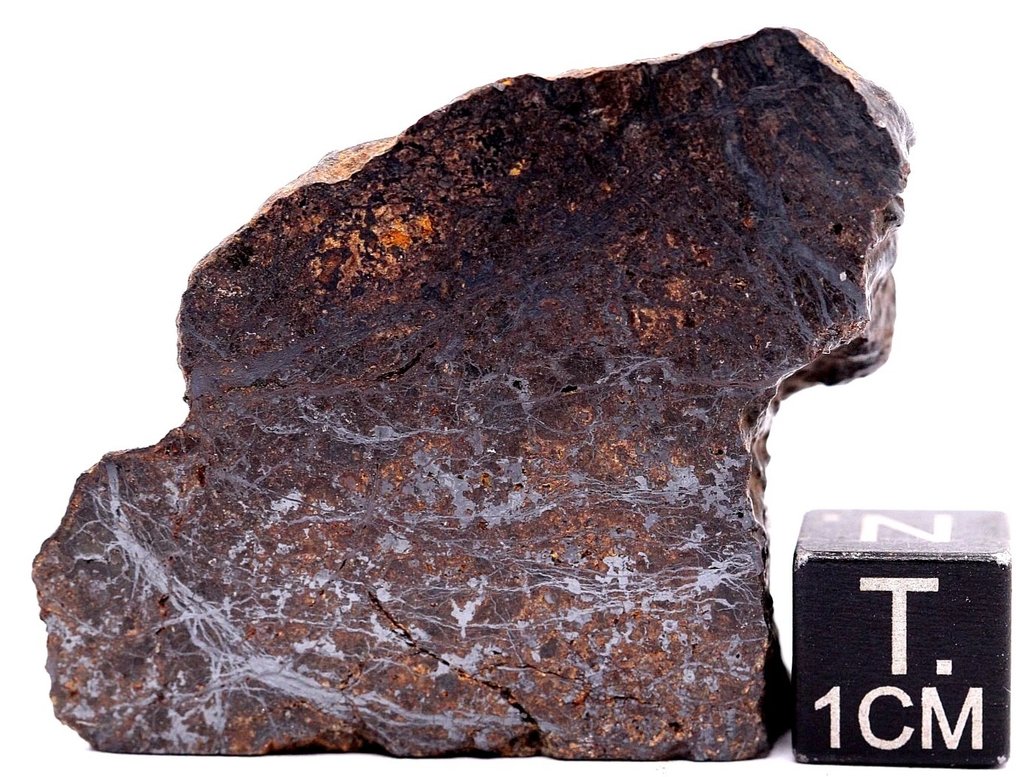 NWA 15027 Mesosiderit-Breccie-Meteorit - 32 g - (1) #2.1