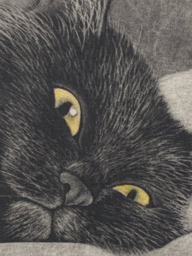 "Half a sleep, half awake" - Signed and numbered by the artist 47/50 - NO RESERVE ! - Emi Satō 佐藤恵美 (b 1973) - Japan  (Zonder minimumprijs) #2.1