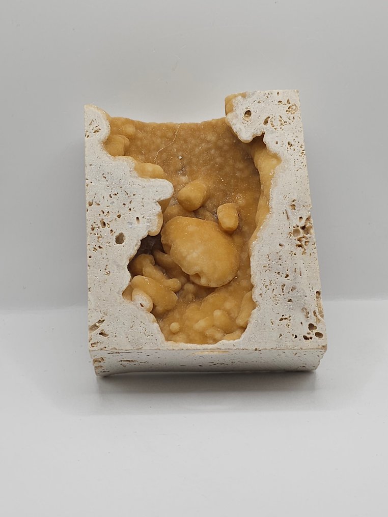 Crab - Fossil skeleton - 85 mm - 103 mm (No reserve price) #1.0