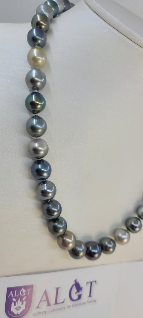 Ingen mindstepris - Halskæde - 14 karat Hvidguld, ALGT Certificerede Tahiti-perler 8,2x11,3 mm. #3.2