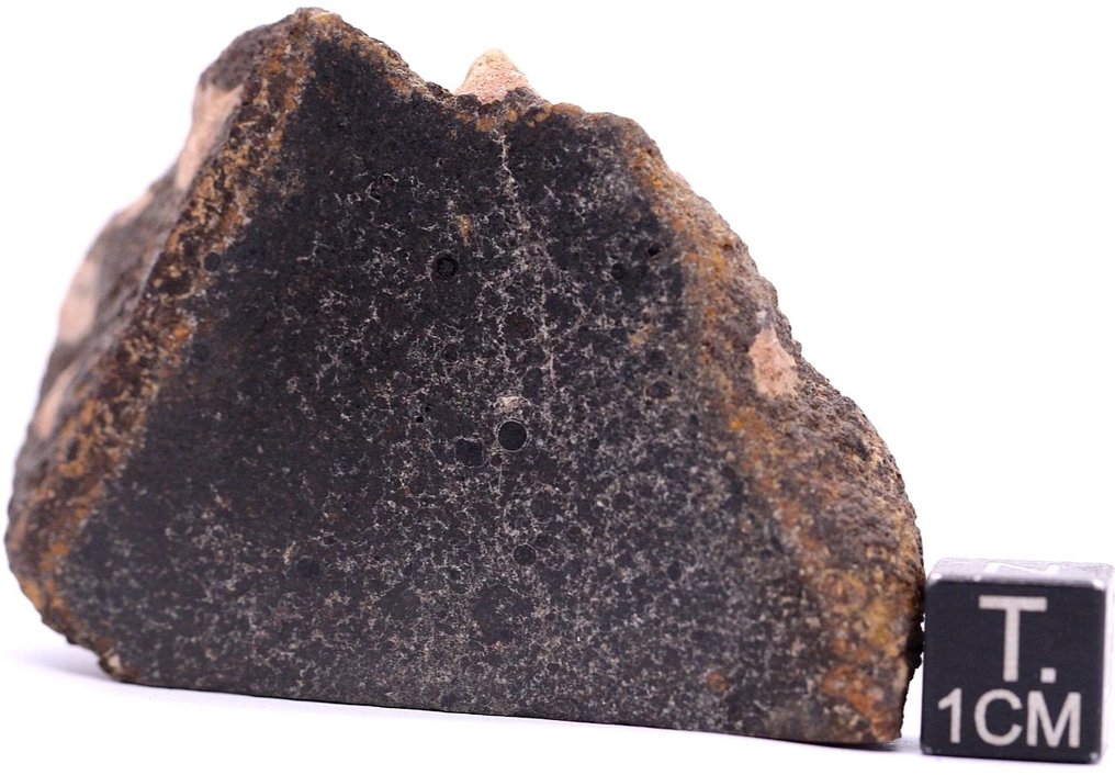 NWA 15581 CK5 碳质球粒陨石 - 64 g - (1) #2.1