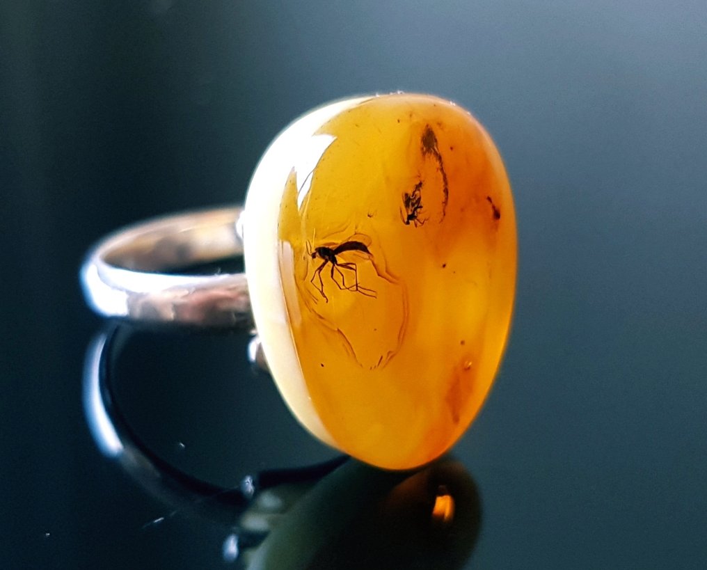 Sällsynt naturlig Baltic amber-ring med fossilinsekt-inclusion - 2 stycken insekter - vacker museum - Bärnsten (Utan reservationspris) #1.0