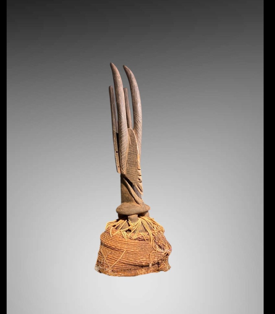 雕塑 Tiwara - 50 厘米 - 敬意 Tiwara - tiwara - 马里 #1.0