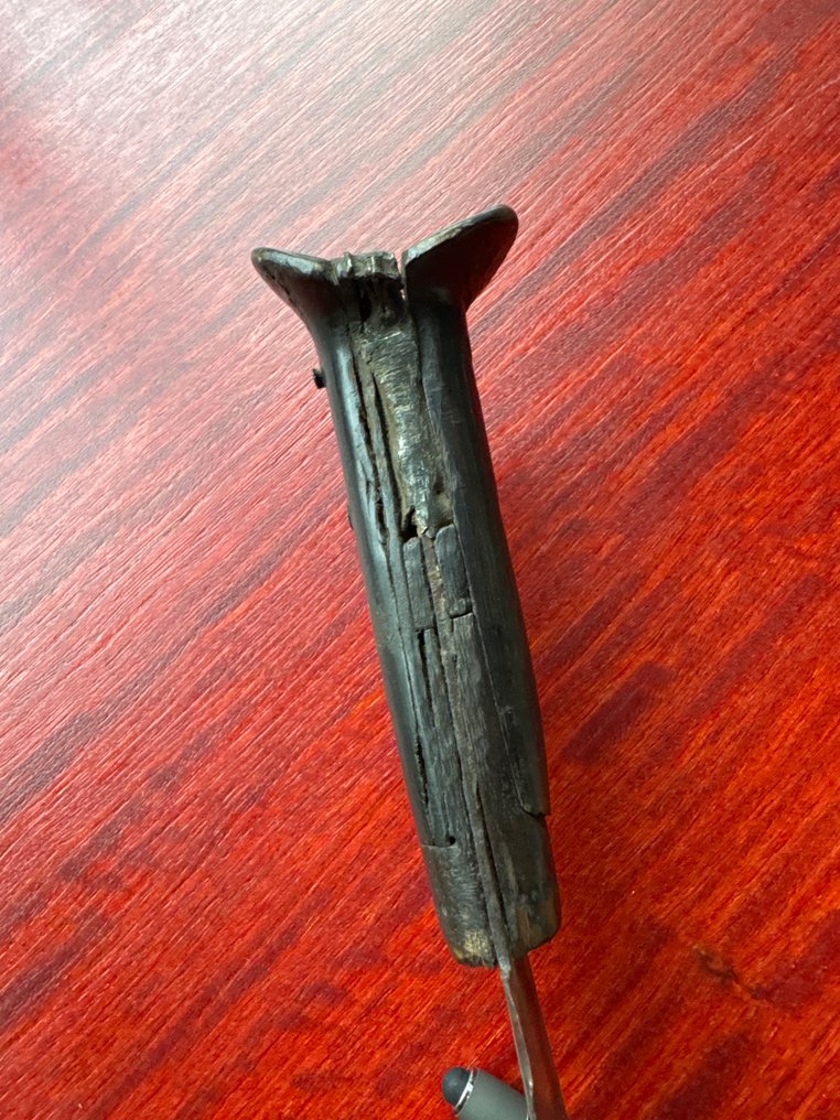 Kort svärd - Algeriet #4.3